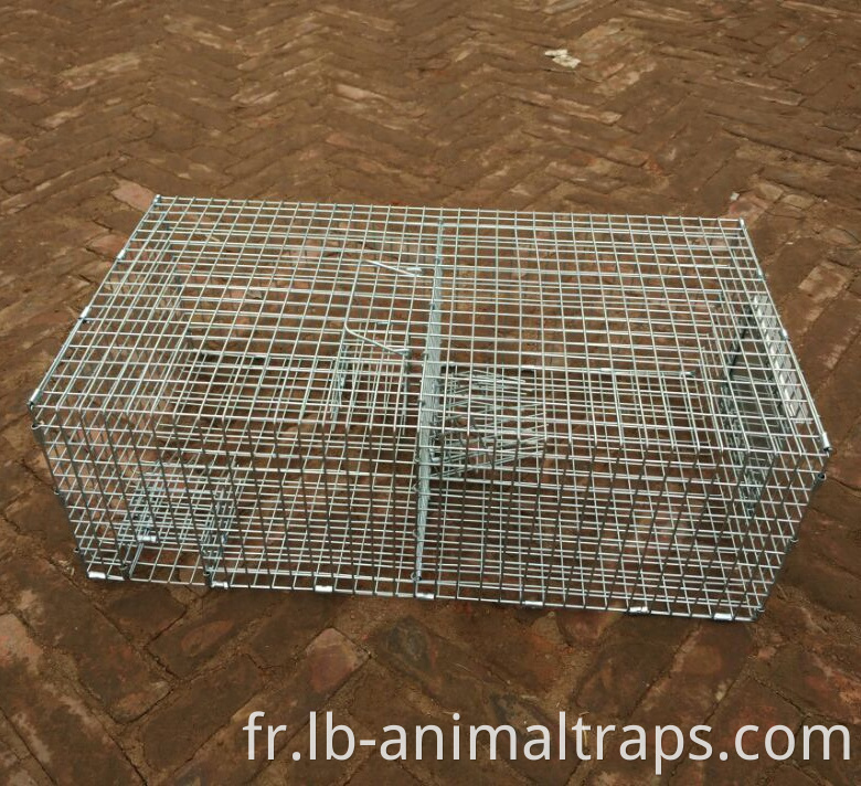 Repeating Control Trap Wire Cage